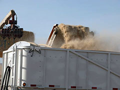 Biomass Feedstock Biomass Feedstock