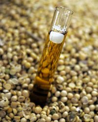 Renewable Fuel Renewable Fuel