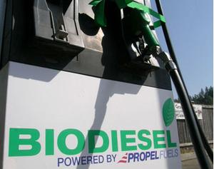 Biodiesel Fuel