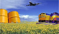 Biomass Fuel Biomass Fuel
