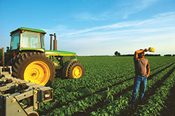 Ethanol or Biodiesel Ethanol or Biodiesel