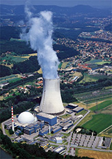 nuclear power  cons