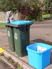 Municipal Solid Waste Management Municipal Solid Waste Management