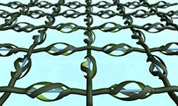 Bioconversion Technology Bioconversion Technology