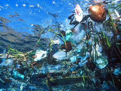 Great Pacific Garbage Patch