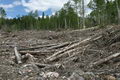 Global Warming Problem Global Warming Problem