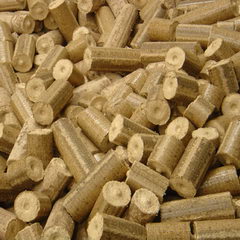 Biomass Briquettes Biomass Briquettes