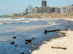 Environmental Crisis In the World Environmental Crisis In the World