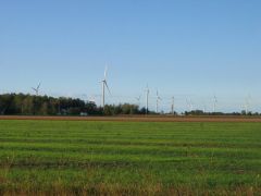 Battle Against Wind Farms
