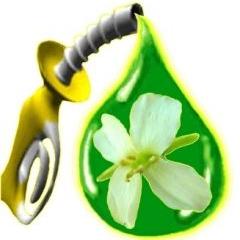 BioDiesel biofuel green fuel BioDiesel biofuel green fuel