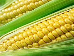 Ethanol Subsidies Ethanol Subsidies