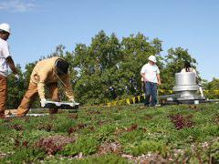 5 Green Jobs To Get Excited About In The Next Decade.