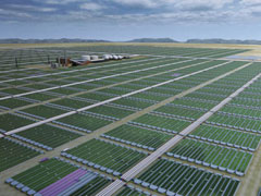 Scientists Confirm Algae Is The Most Effective Alternative Energy Source Scientists Confirm Algae Is the Most Effective Alternative Energy Source