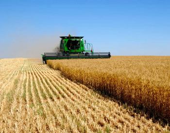 Little good news for agriculture Little good news for agriculture