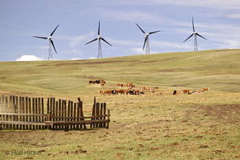 Wind Power