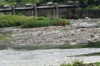 Rivers, a.k.a. Trash Canals Rivers, a.k.a. Trash Canals