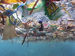 Solution to the Great Garbage Patch Solution to the Great Garbage Patch