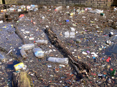Storm Water Pollution Storm Water Pollution