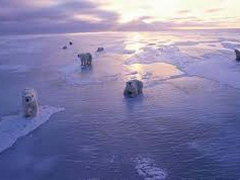 North Pole Global Warming
