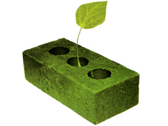 The Green Paradigm Shift - The UN Wants the Globe to Invest $1.3 Trillion The Green Paradigm Shift - The UN Wants the Globe to Invest $1.3 Trillion
