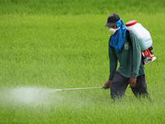 Pesticides: on the grass, on our feet, on our animals, in our food and water