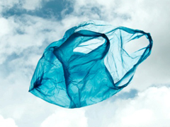 Plastic grocery bag