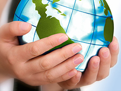 Sustainability-consultants Sustainability-consultants