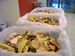 food-waste