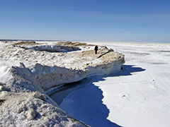 great-lakes