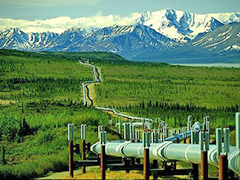 oil-pipeline