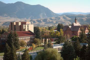 Montana State University