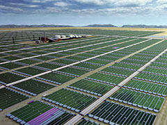 Algaculture
