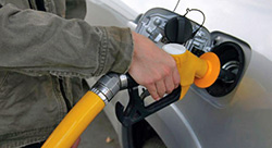Bio Fuel Bio Fuel