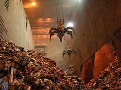 Municipal Solid Waste Recycling