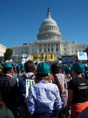 Renewable Energy Policy Renewable Energy Policy