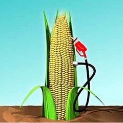 Biodiesel Industry Biodiesel Industry
