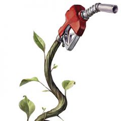 New Generation Biofuels