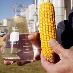 Ethanol Alternative Fuel Ethanol Alternative Fuel