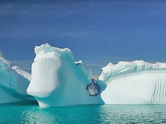 Antarctica Global Warming Facts - the Devastating Impacts On the Flora and Fauna